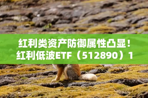 红利类资产防御属性凸显!红利低波ETF(512890)11个交易日累计吸金17亿元 红利类资产防御属性凸显!红利低波ETF(512890)11个交易日累计吸金17亿元
