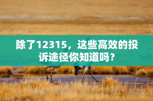 除了12315，这些高效的投诉途径你知道吗？