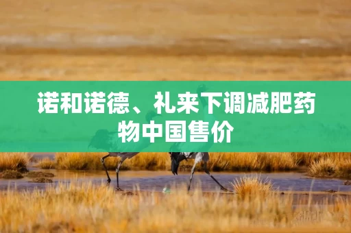 诺和诺德、礼来下调减肥药物中国售价