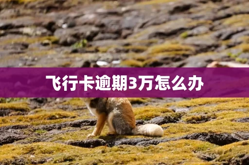 飞行卡逾期3万怎么办