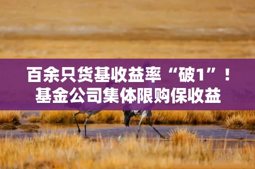 百余只货基收益率“破1”！基金公司集体限购保收益