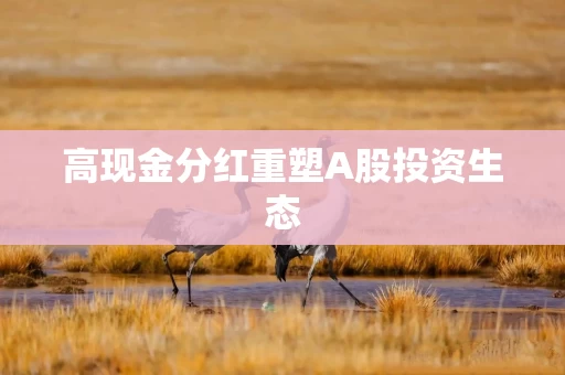 高现金分红重塑A股投资生态