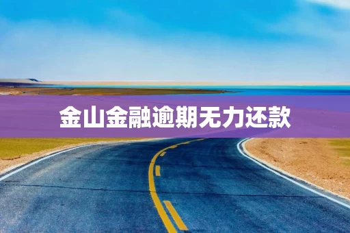 金山金融逾期无力还款
