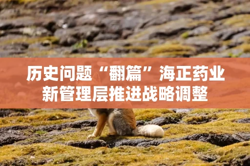 历史问题“翻篇”海正药业新管理层推进战略调整