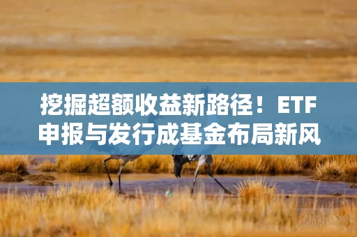 挖掘超额收益新路径！ETF申报与发行成基金布局新风向标？