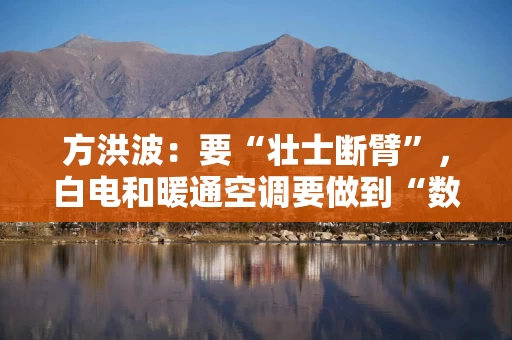 方洪波：要“壮士断臂”，白电和暖通空调要做到“数一数二”