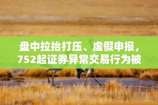 盘中拉抬打压、虚假申报，752起证券异常交易行为被监管