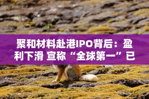 聚和材料赴港IPO背后：盈利下滑 宣称“全球第一”已名不副实 市场份额被竞争对手超越 现金流量净额持续为负