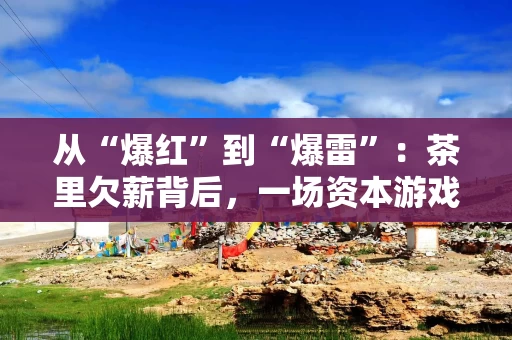 从“爆红”到“爆雷”：茶里欠薪背后，一场资本游戏的崩塌