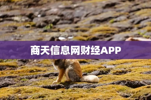 商天信息网财经APP