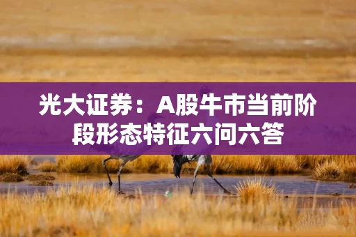 光大证券:A股牛市当前阶段形态特征六问六答 光大证券:A股牛市当前阶段形态特征六问六答