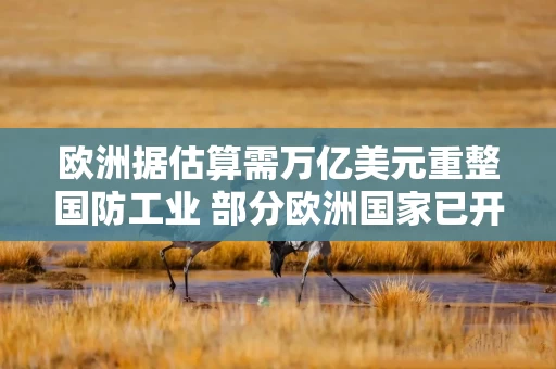 欧洲据估算需万亿美元重整国防工业 部分欧洲国家已开始优先选择本土装备
