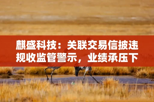 麒盛科技：关联交易信披违规收监管警示，业绩承压下重要股东高位套现引争议