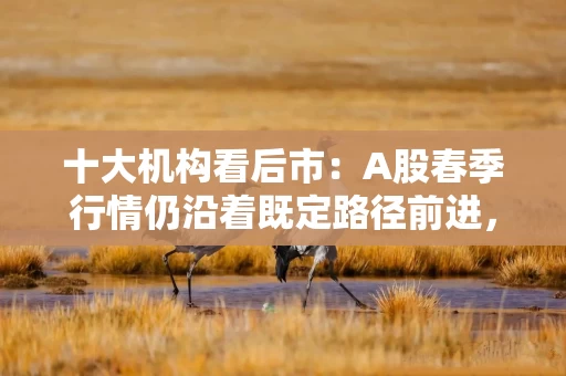 十大机构看后市：A股春季行情仍沿着既定路径前进，保持稳健，持股过节