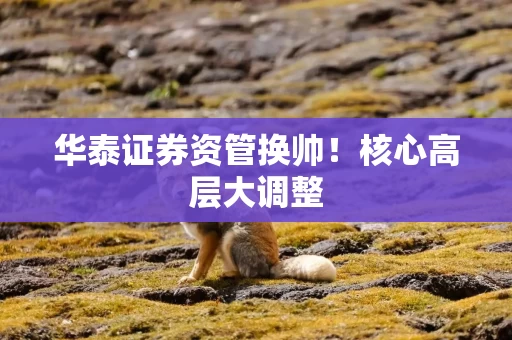 华泰证券资管换帅！核心高层大调整