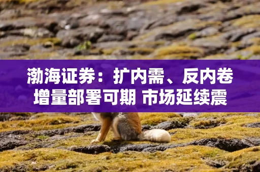 渤海证券：扩内需、反内卷增量部署可期 市场延续震荡整理