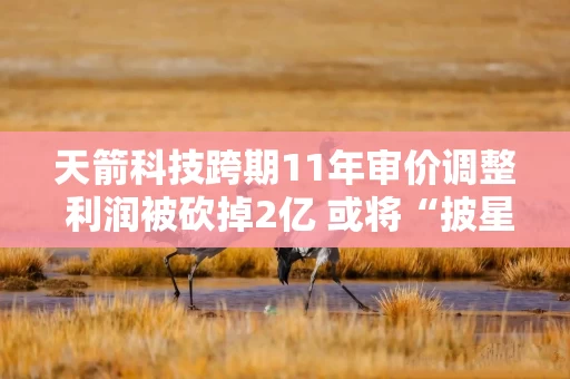 天箭科技跨期11年审价调整 利润被砍掉2亿 或将“披星戴帽”