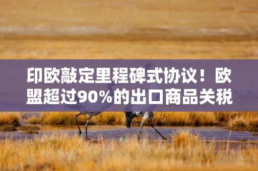 印欧敲定里程碑式协议!欧盟超过90%的出口商品关税将被取消或降低 印欧敲定里程碑式协议!欧盟超过90%的出口商品关税将被取消或降低
