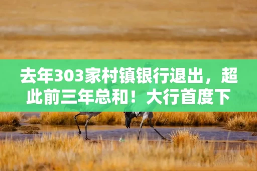 去年303家村镇银行退出，超此前三年总和！大行首度下场，中小银行减量提质加速推进