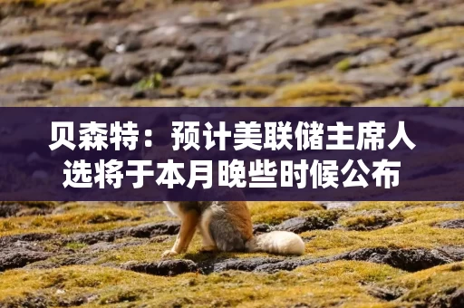 贝森特：预计美联储主席人选将于本月晚些时候公布