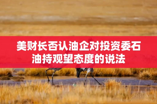 美财长否认油企对投资委石油持观望态度的说法