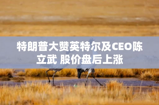 特朗普大赞英特尔及CEO陈立武 股价盘后上涨