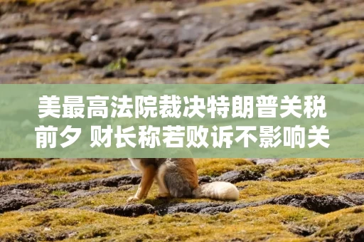 美最高法院裁决特朗普关税前夕 财长称若败诉不影响关税收入