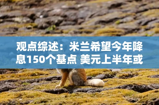 观点综述：米兰希望今年降息150个基点 美元上半年或走低