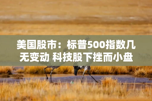 美国股市：标普500指数几无变动 科技股下挫而小盘股上涨