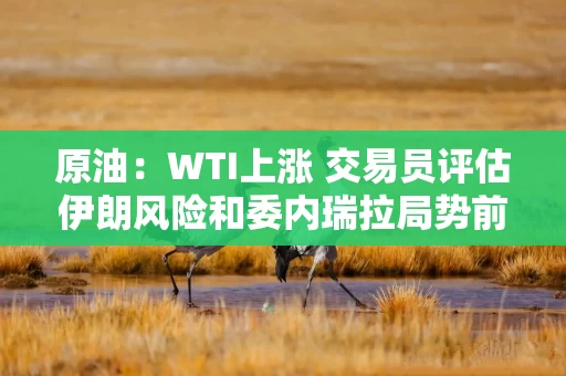 原油：WTI上涨 交易员评估伊朗风险和委内瑞拉局势前景