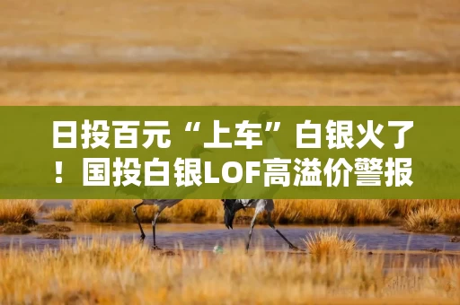 日投百元“上车”白银火了！国投白银LOF高溢价警报却连响5日