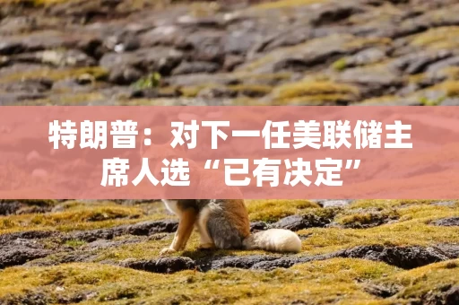 特朗普：对下一任美联储主席人选“已有决定”