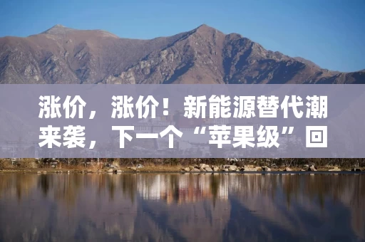 涨价，涨价！新能源替代潮来袭，下一个“苹果级”回报就在眼前？
