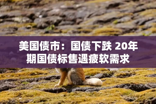 美国债市：国债下跌 20年期国债标售遇疲软需求