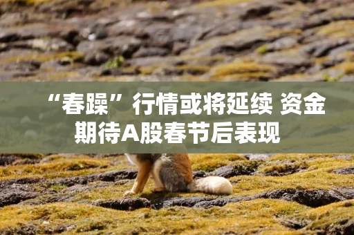 “春躁”行情或将延续 资金期待A股春节后表现 “春躁”行情或将延续 资金期待A股春节后表现