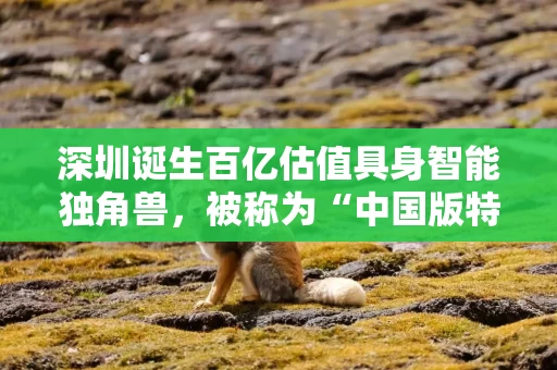 深圳诞生百亿估值具身智能独角兽,被称为“中国版特斯拉机器人” 深圳诞生百亿估值具身智能独角兽,被称为“中国版特斯拉机器人”