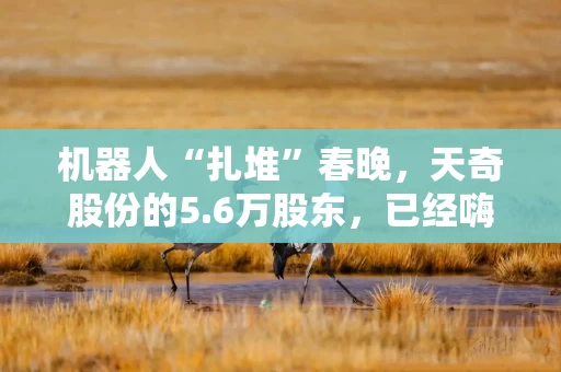机器人“扎堆”春晚,天奇股份的5.6万股东,已经嗨了? 机器人“扎堆”春晚,天奇股份的5.6万股东,已经嗨了?