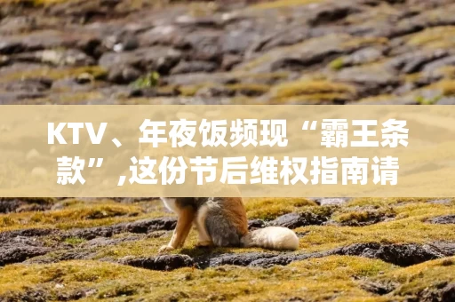 KTV、年夜饭频现“霸王条款”,这份节后维权指南请收好