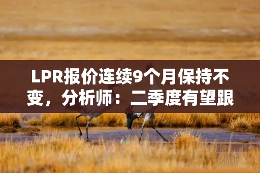 LPR报价连续9个月保持不变，分析师：二季度有望跟进政策利率下调