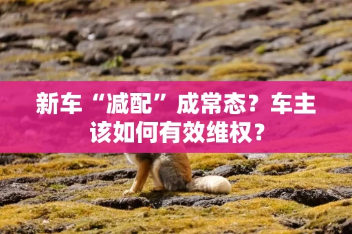 新车“减配”成常态？车主该如何有效维权？