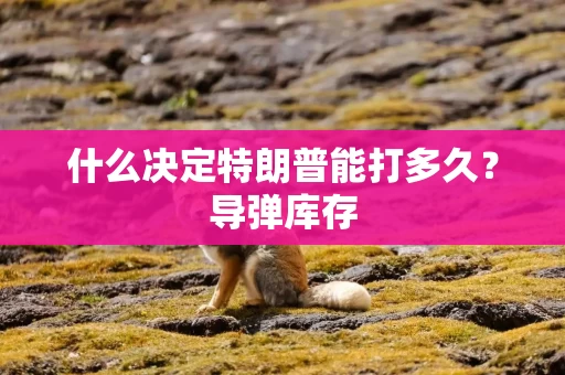 什么决定特朗普能打多久？导弹库存