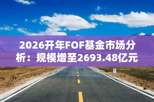 2026开年FOF基金市场分析：规模增至2693.48亿元 结构分化明显