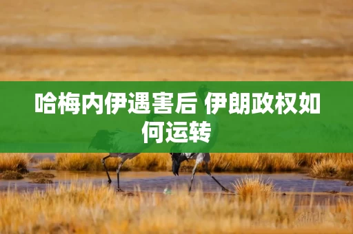 哈梅内伊遇害后 伊朗政权如何运转