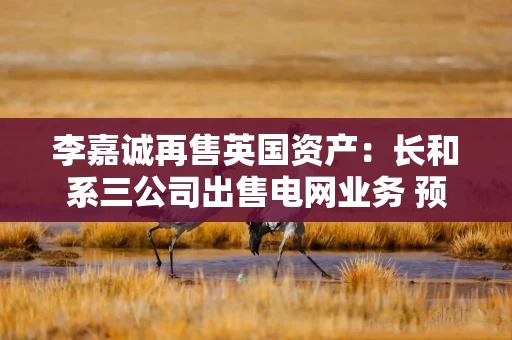 李嘉诚再售英国资产：长和系三公司出售电网业务 预计套现1100亿港元