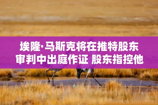 埃隆·马斯克将在推特股东审判中出庭作证 股东指控他在收购前故意打压股价