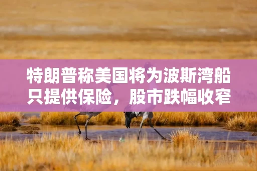 特朗普称美国将为波斯湾船只提供保险，股市跌幅收窄