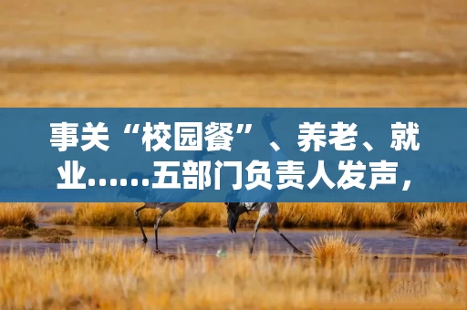 事关“校园餐”、养老、就业……五部门负责人发声，民生主题记者会透露这些重要信息
