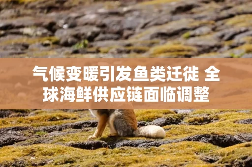 气候变暖引发鱼类迁徙 全球海鲜供应链面临调整