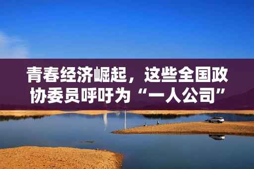 青春经济崛起，这些全国政协委员呼吁为“一人公司”提供全链条创业支持