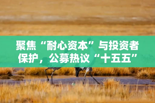聚焦“耐心资本”与投资者保护，公募热议“十五五”资本市场发展蓝图